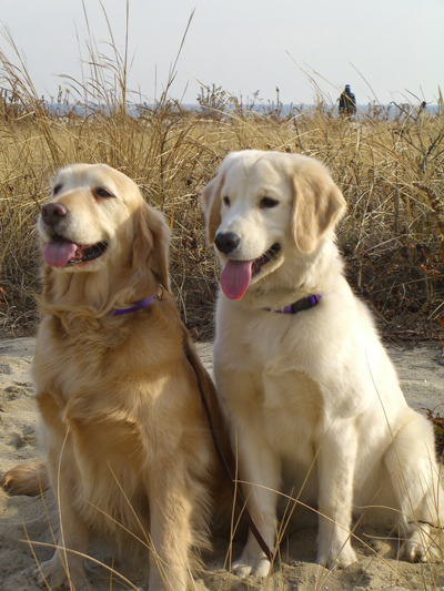 spicy_and_Kelly_on_beach.jpg